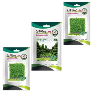 بذر چمن مونت‌کارلو مدل GPF-001 بسته 2 عددی
