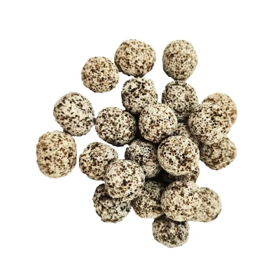 سرامیک آکواریوم مدل D2 وزن 300 گرم