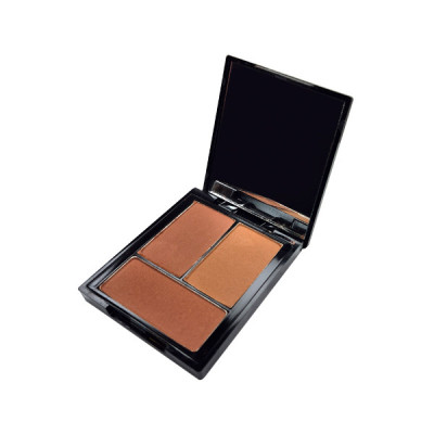 پالت سایه ابرو مدل MATTE B2 Oledrina