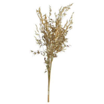 گل خشک مدل جو دوسر