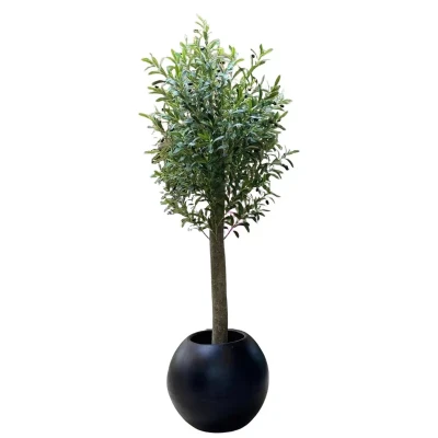 درختچه مصنوعی زیتون ایستاده با تنه طبیعی، برگ لمسی و قابل شستشو، برگ درجه یک، دارای میوه، ارتفاع 200 سانتی‌متر، عرض 50 سانتی‌متر، بدون گلدان