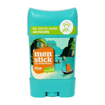 استیک ضد تعریق  مردانه پینک ویژوآل مدل ALL DAY FRESHNESS با رایحه خنک وزن 75 گرم