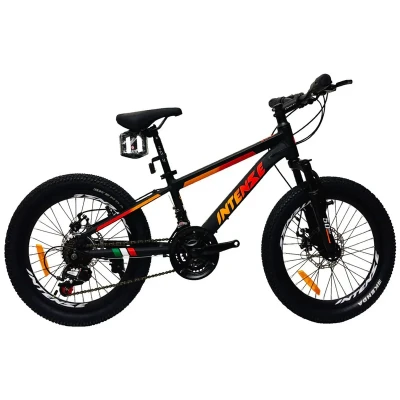دوچرخه کوهستان اینتنز مدل CD200 کد 112 سایز طوقه 20 اینچ
