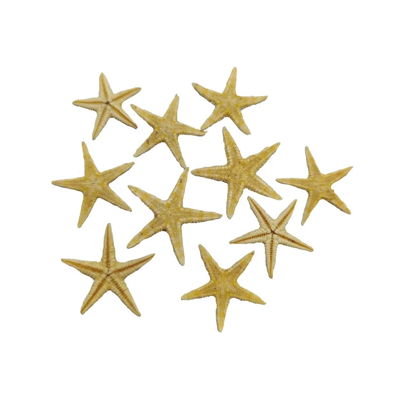 ستاره دریایی تزیینی مدل star01 مجموعه 10 عددی