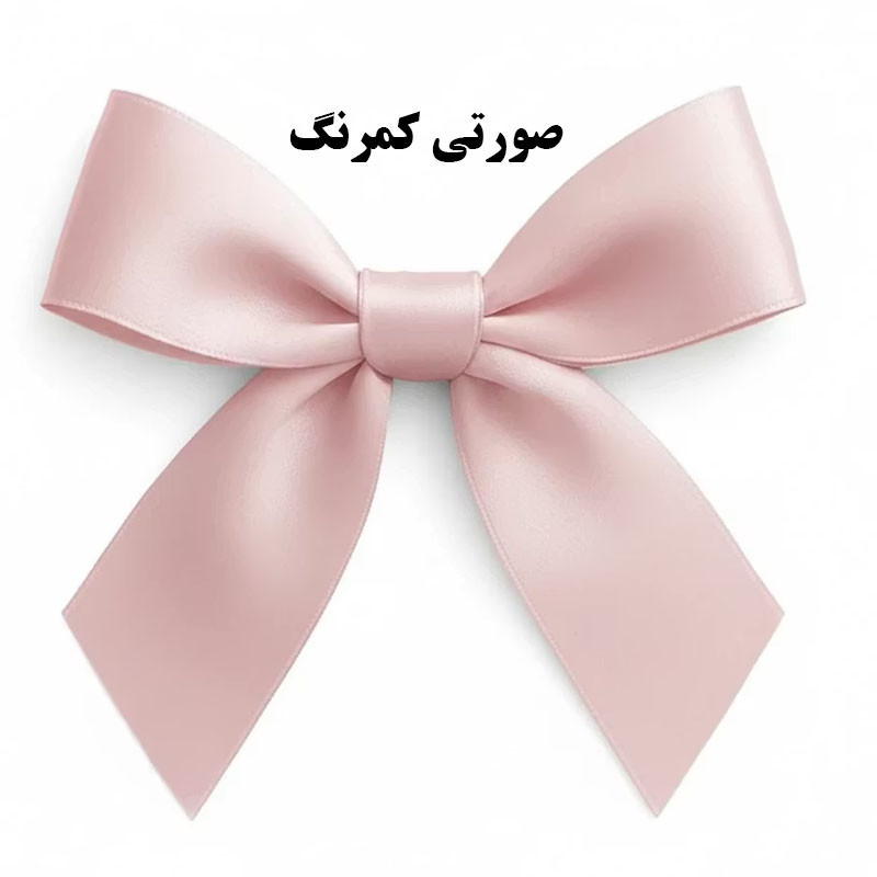 ابزار کادویی مدل پاپیون کد 4sant