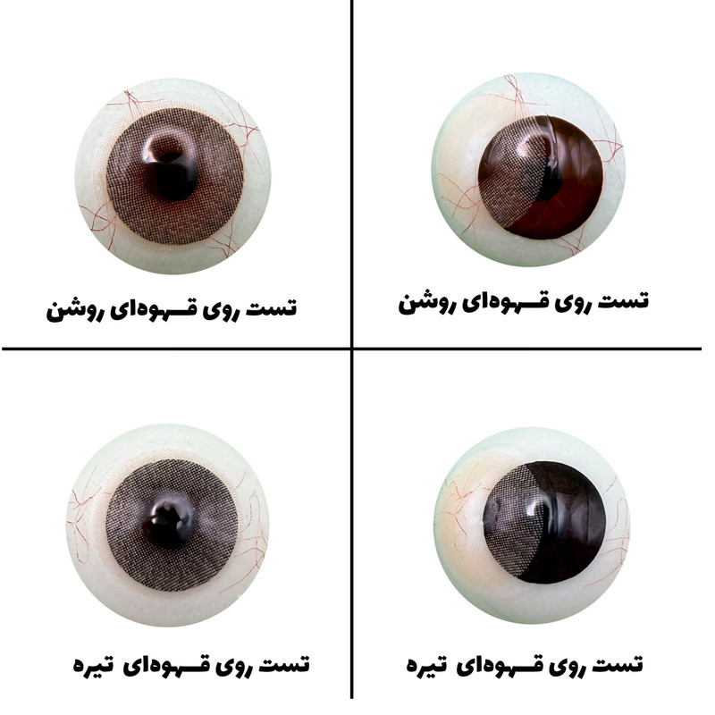 لنز چشم رویال ویژن مدل MOCHA کد 14 رنگ قهوه ای روشن بدون دور