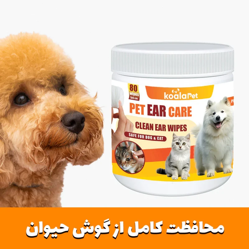 دستمال مرطوب سگ و گربه مخصوص گوش و اطراف چشم کوالاپت مدل  Wipes03 بسته دو عددی