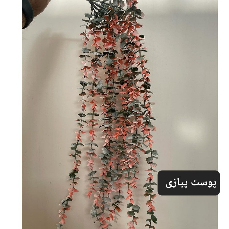 گل مصنوعی آویز شمشاد برفی مدل PAL.5550 از جنس پلاستیک، طول 75 سانتی‌متر، دارای 14 بازو، قابل شستشو و در دو رنگ سبز پودری و سبز دودی