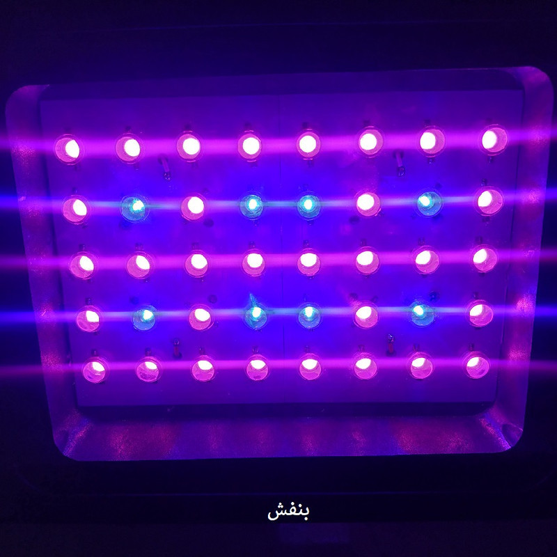 پروژکتور  رشدگیاه  40 وات  مدل PRO40WPLGR