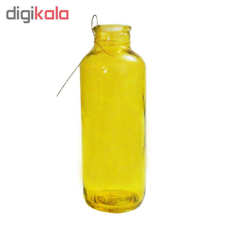 گلدان شیشه‌ای مدل 1G1-4 ارتفاع 18 سانتی‌متر عرض 6 سانتی‌متر وزن 300 گرم مناسب برای تزئین و نگهداری گل و گیاه