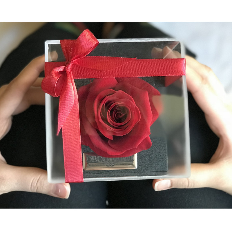گل رز جاودان دکوفیوره مدل RedLove