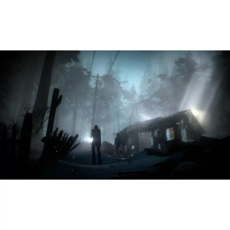 بازی Until Dawn نسخه استاندارد مخصوص PS4