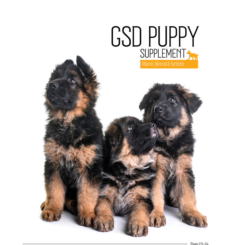 پودر مکمل سگ توله ژرمن بایو پت مدل GSD Puppy وزن 400 گرم