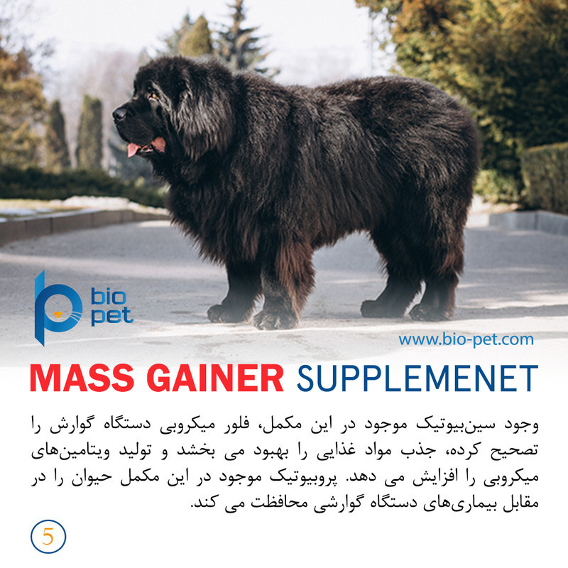 پودر مکمل سگ بایو پت مدل عضله‌ساز Mass Gainer وزن 400 گرم