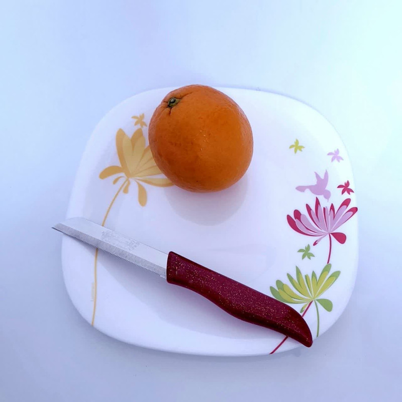 کارد میوه خوری فاردینوکس مدل اره ای مجموعه ۶ عددی