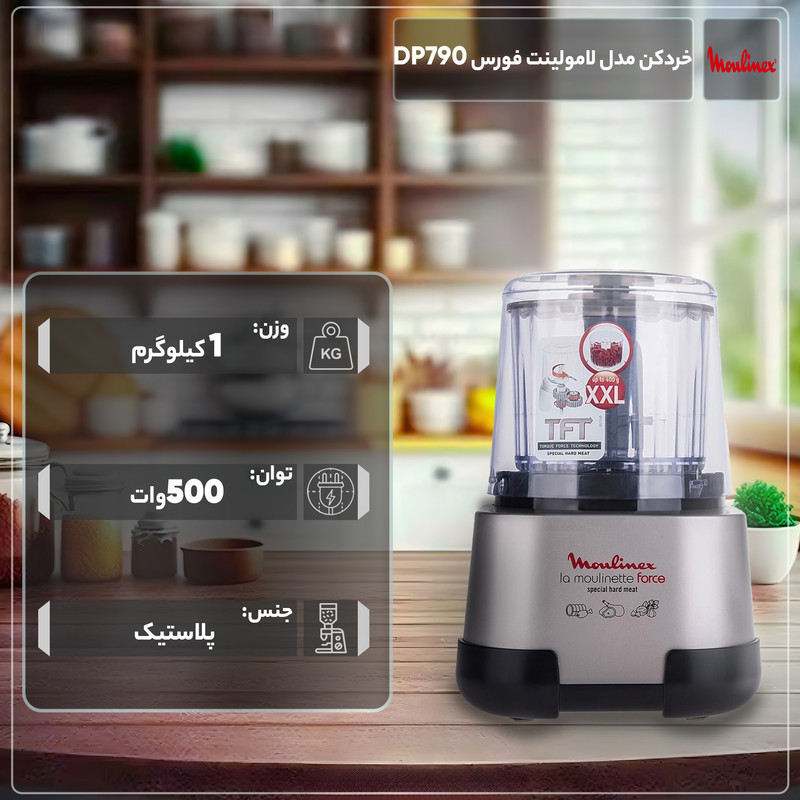 خردکن مولینکس مدل لامولینت فورس DP790