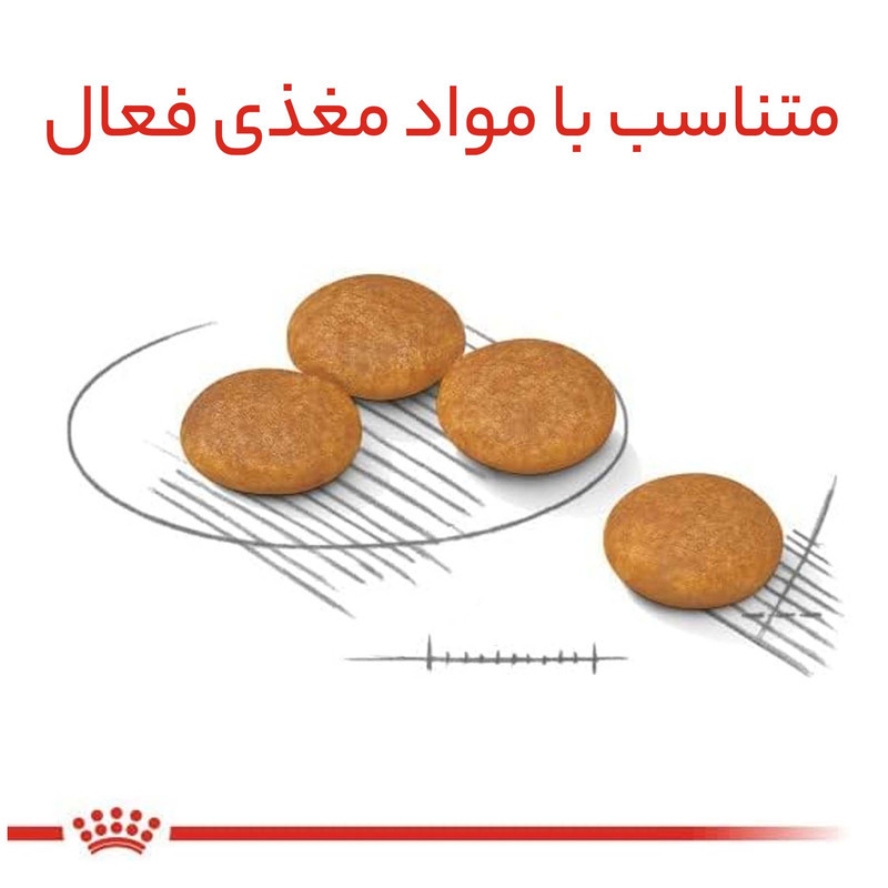غذای خشک سگ رویال کنین مدل Mini Dermacomfort وزن 3 کیلوگرم