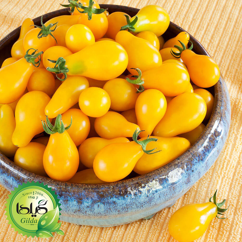 بذر گوجه گیلدا کد 096 مجموعه 8 عددی