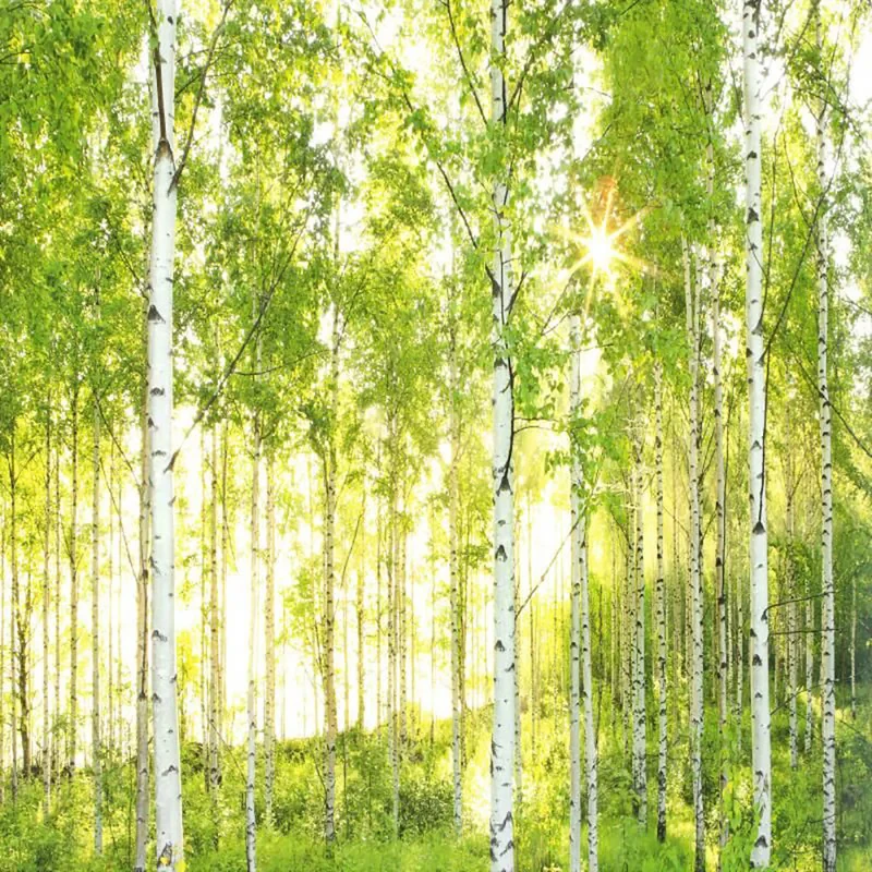 پوستر دیواری کومار مدل 8-519