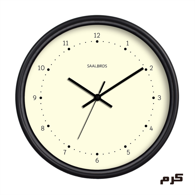 ساعت دیواری سال بردز طرح مینیمال CW-179