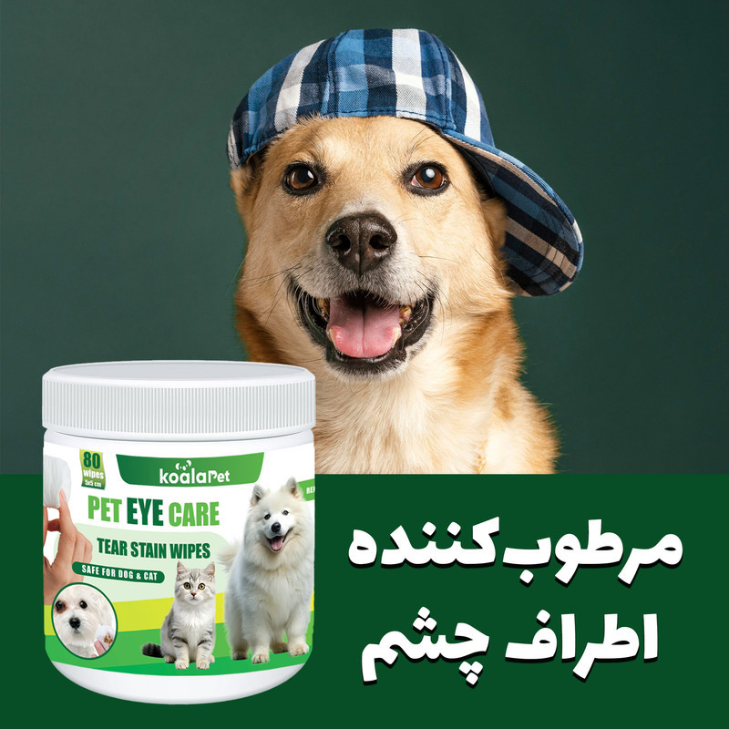 دستمال مرطوب سگ و گربه مخصوص گوش و اطراف چشم کوالاپت مدل  Wipes03 بسته دو عددی