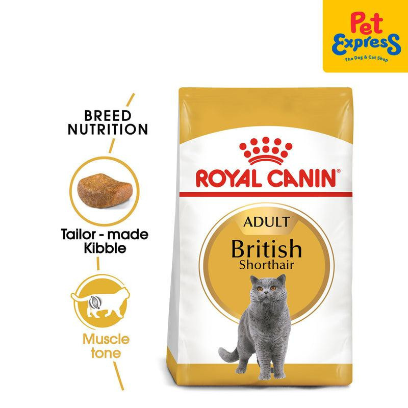 غذای خشک گربه بالغ رویال کنین مدل British shorthair adult وزن 2 کیلوگرم به همراه بستنی
