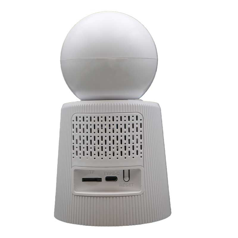 دوربین مداربسته تحت شبکه رایمون مدل 2 مگاپیکسل کد RW-300