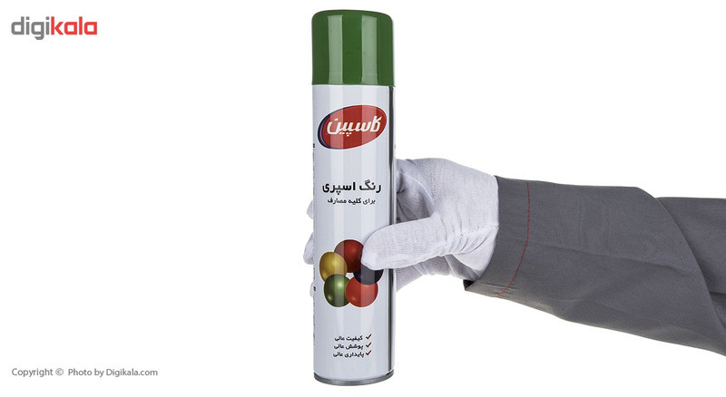 اسپری رنگ سبز سیر کاسپین وزن 295 گرم