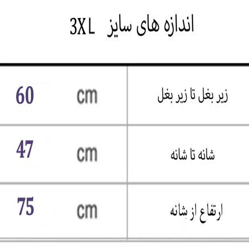 پافرمردانه مدل FR کد M2655