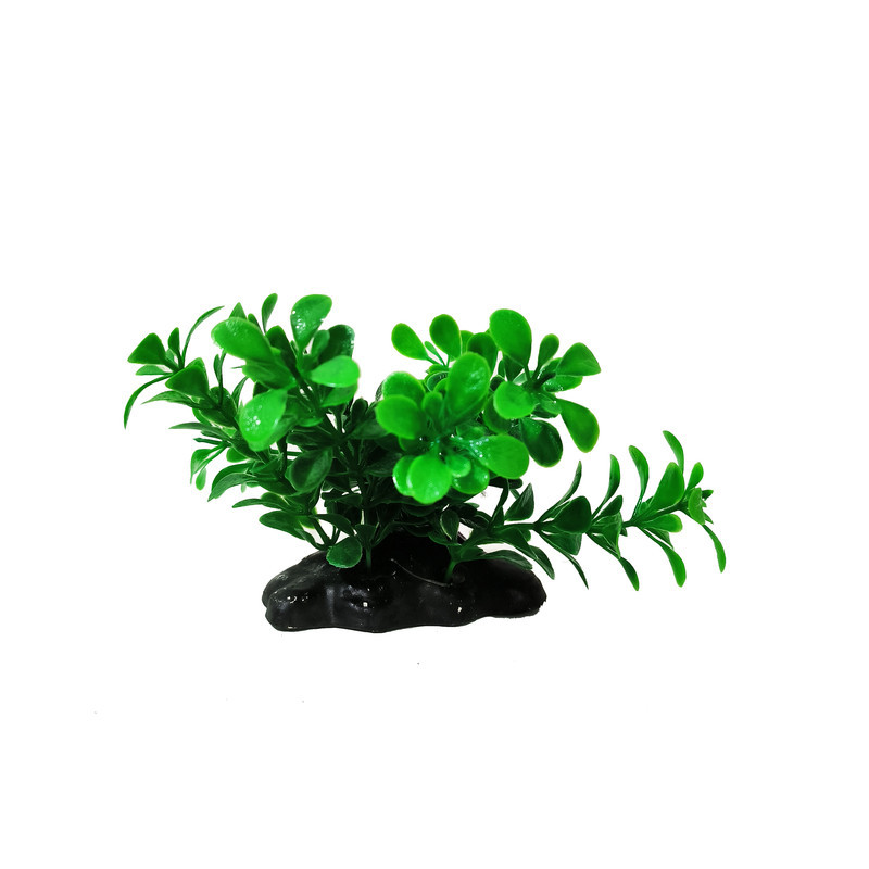 گیاه تزیینی آکواریوم کد VB08 مجموعه 5 عددی