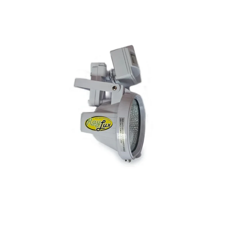پروژکتور ۵۰۰ وات  رایلوکس مدل ST500C