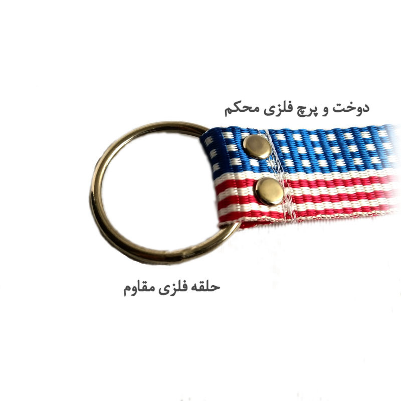 قلاده آموزشی سگ هایپت مدل USA3