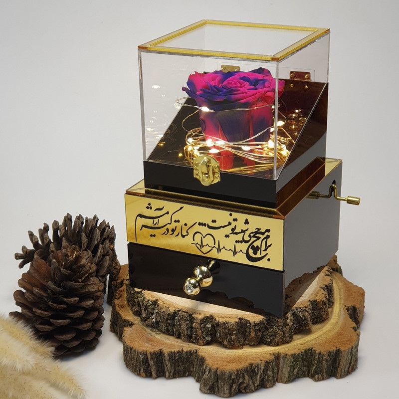 گل رز جاودان مدل گنجینه موزیکال کوکی