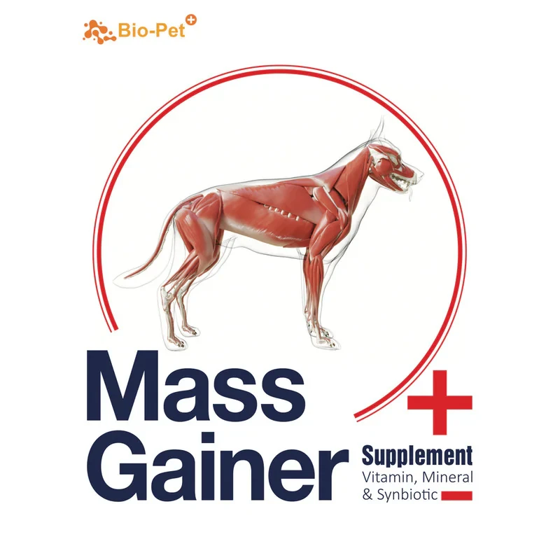 پودر مکمل بایو پت مدل Mass Gainer وزن 200 گرم