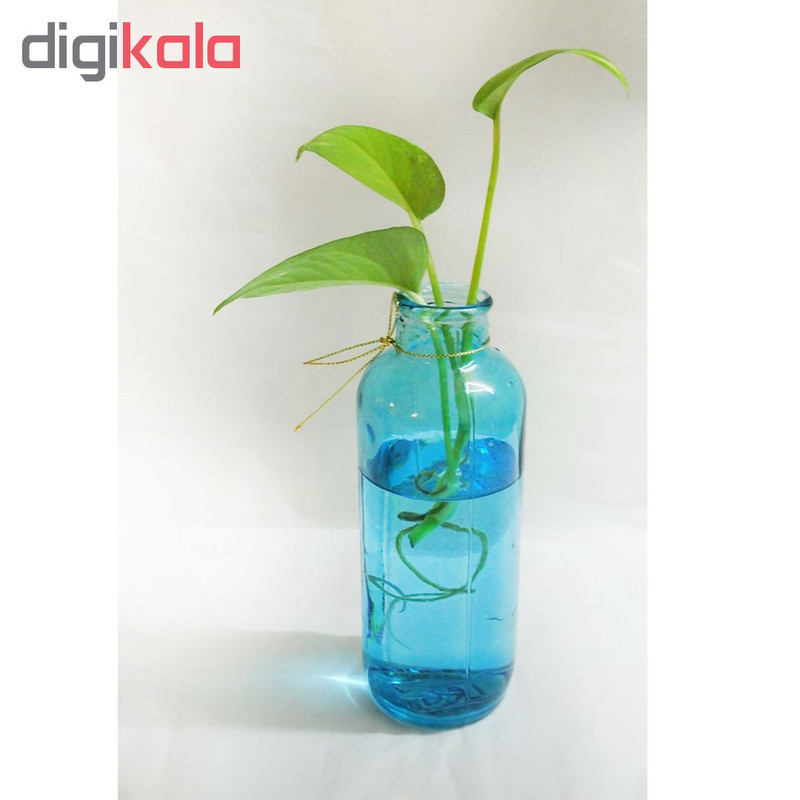 گلدان شیشه‌ای مدل 1G1-4 ارتفاع 18 سانتی‌متر عرض 6 سانتی‌متر وزن 300 گرم مناسب برای تزئین و نگهداری گل و گیاه