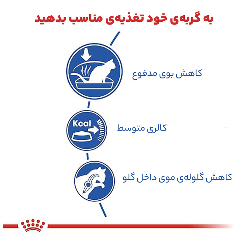 غذای خشک گربه رویال کنین مدل Home Life Indoor وزن 2 کیلوگرم