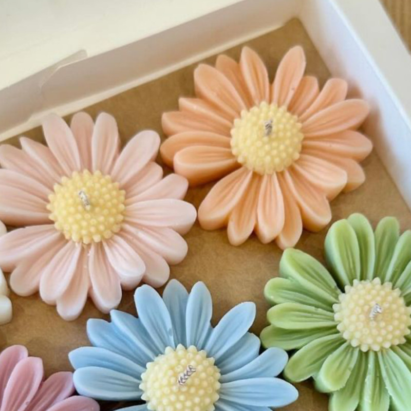 شمع مدل گل بابونه بسته 6 عددی