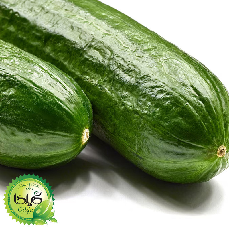 بذر صیفی جات گلدانی گیلدا کد 094 مجموعه 10 عددی