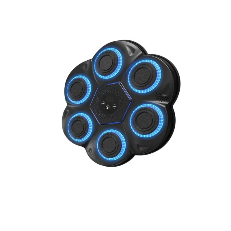 کیسه بوکس مدل Intelligent