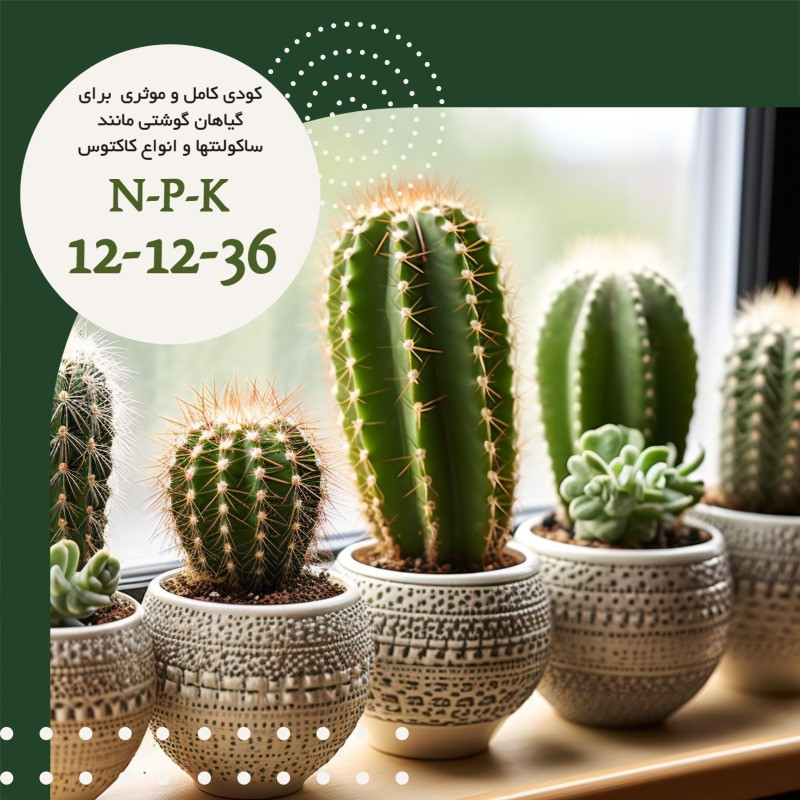 کود پتاس بالا آگنس مدل NPK 12-12-36 وزن 300 گرم