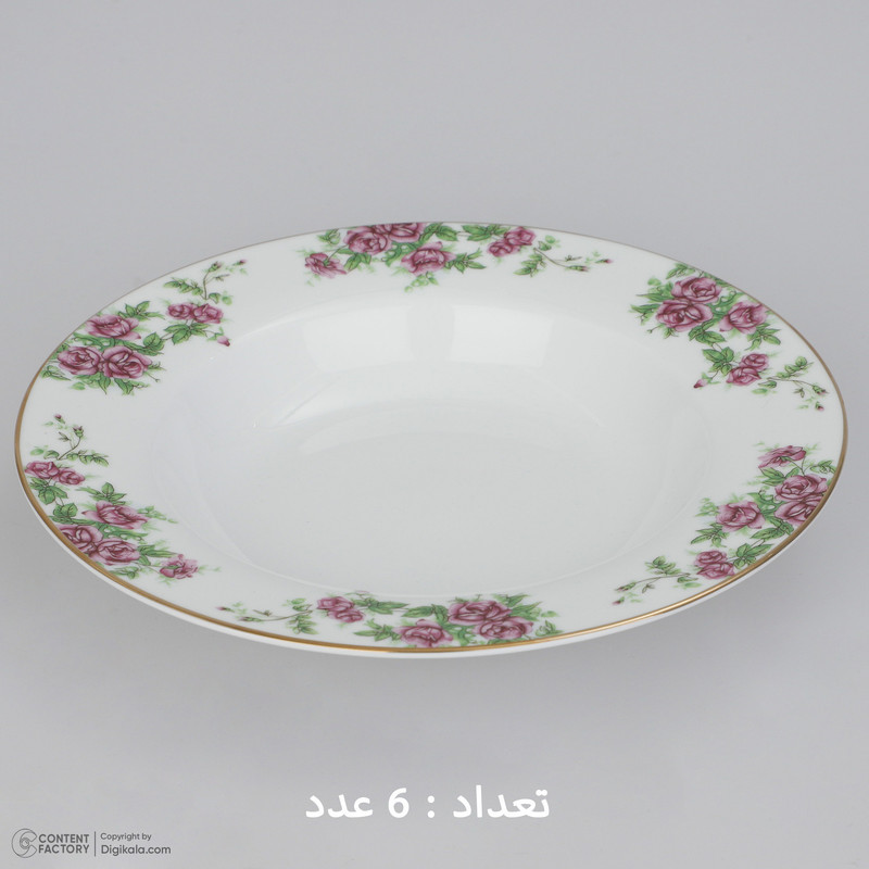 سرویس غذاخوری 28 پارچه چینی زرین ایران سری ایتالیا اف مدل Bidgol درجه یک