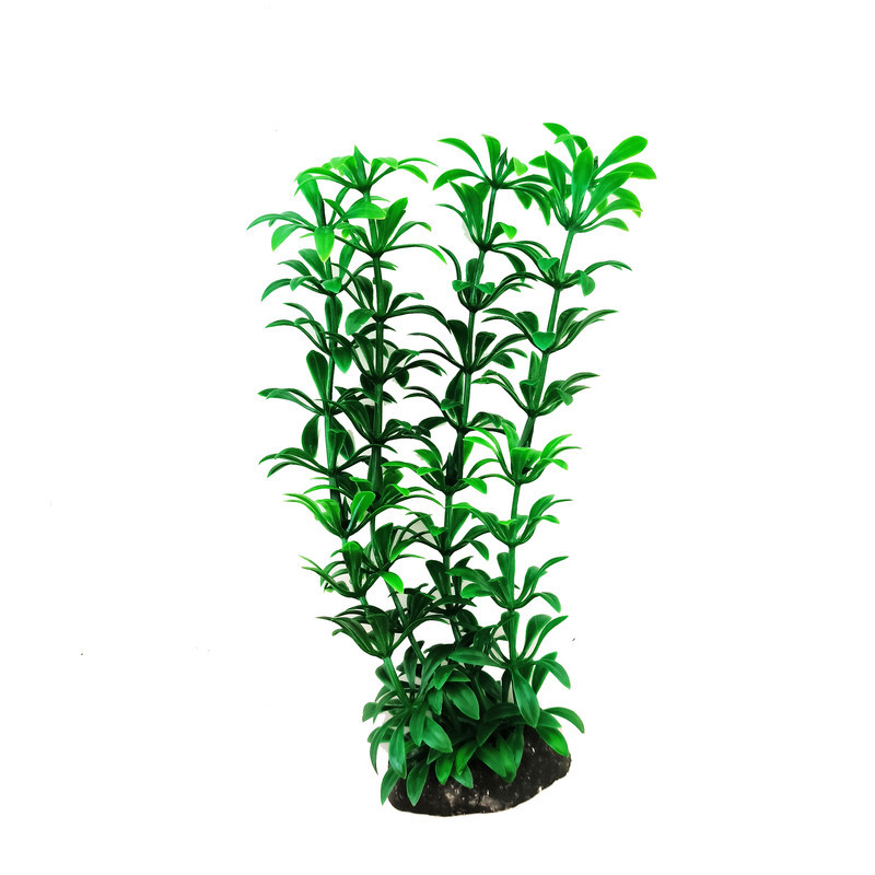 گیاه تزیینی آکواریوم کد S02 مجموعه 10 عددی