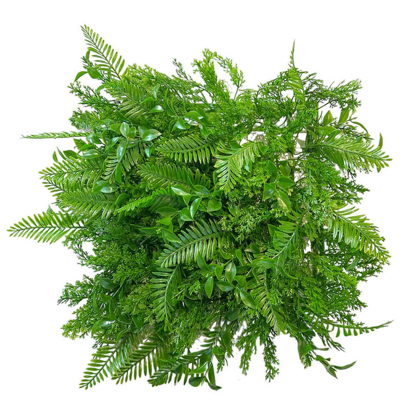 چمن مصنوعی مدل دکور سبز آکواریومی طرح سیکات سرو سایز 25x25 سانتی متر