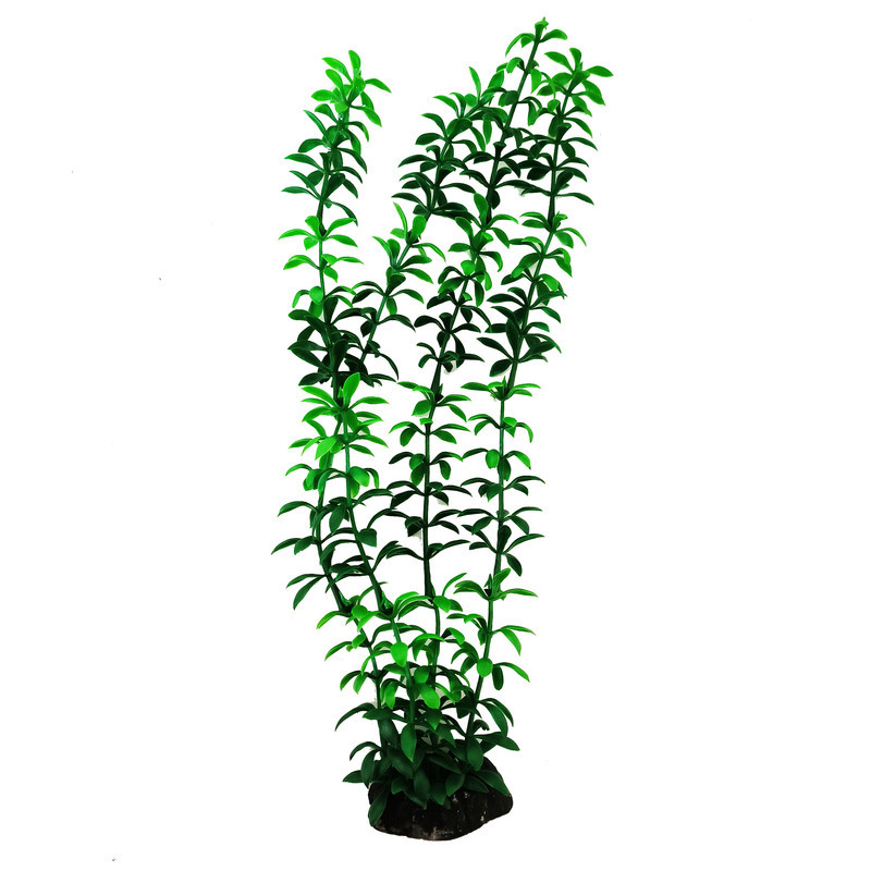 گیاه تزیینی آکواریوم کد SM089 مجموعه 10 عددی