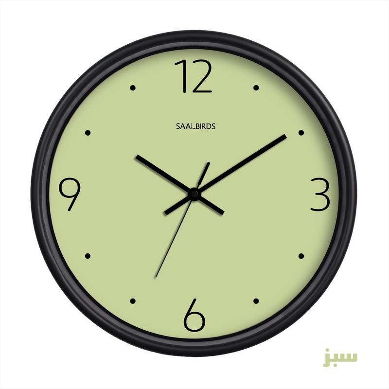 ساعت دیواری سال بردز طرح مینیمال مدل CW-760
