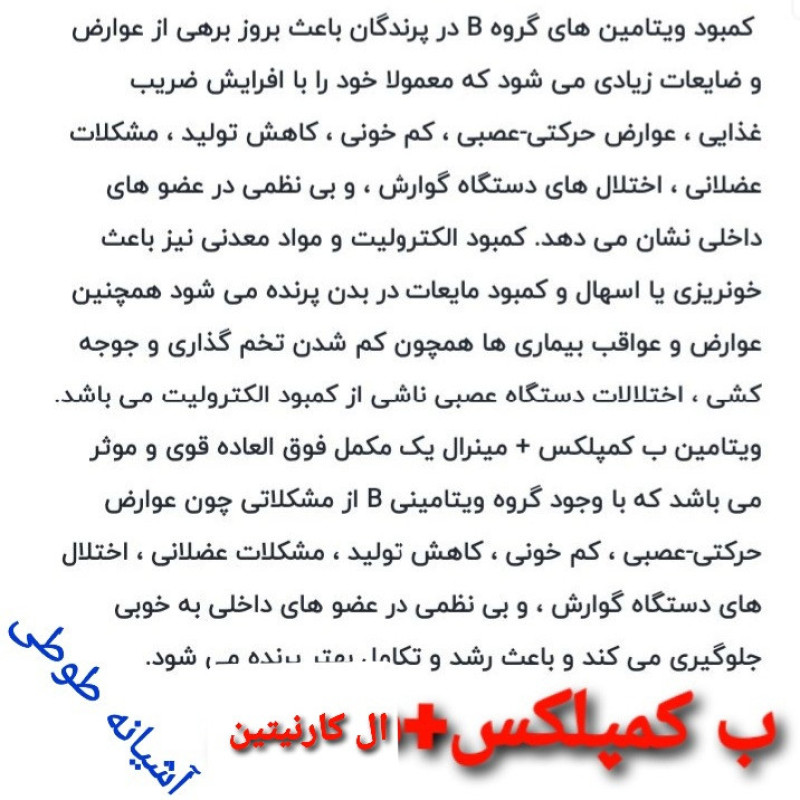 محلول ویتامین ب کمپلکس پرندگان مدلB.Elcarnitine حجم20میلی لیتر