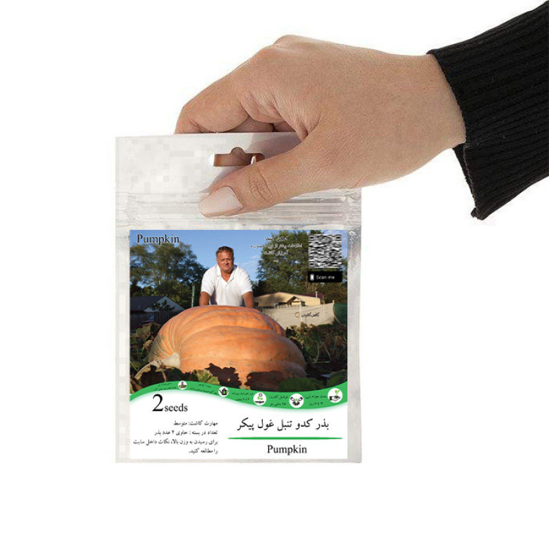 بذر کدو تنبل غول پیکر گلس گاردن مدل GL02