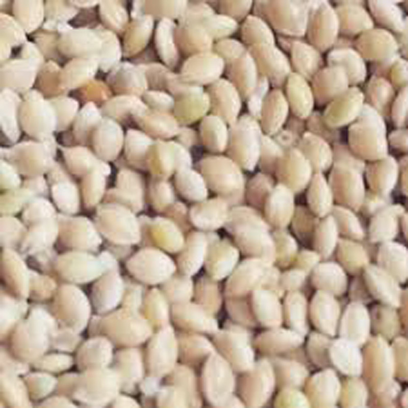 غذای پرندگان مدل ارزن وزن 500 گرم