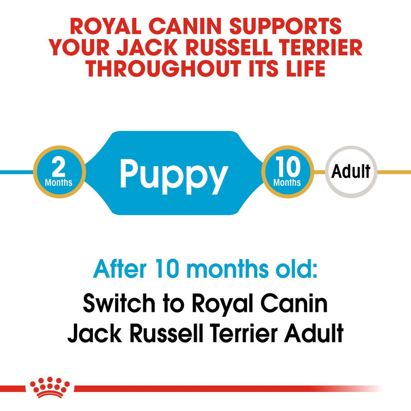 پوچ توله سگ نژاد کوچک رویال کنین مدل Mini Puppy وزن 85 گرم