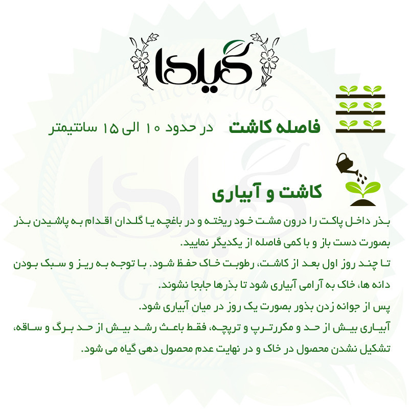بذر سبزی خوردن گیلدا کد 097 مجموعه 10 عددی